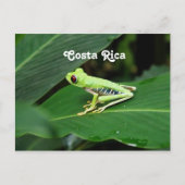 Costa Rica Tree Kikker Briefkaart (Voorkant)