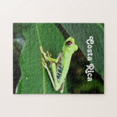 Costa Rica Tree Kikker Legpuzzel (Horizontaal)