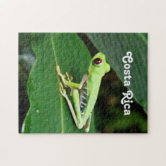 Costa Rica Tree Kikker Legpuzzel (Horizontaal)