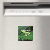 Costa Rica Tree Kikker Magneet (Insitu (Vaatwasser))