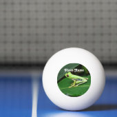 Costa Rica Tree Kikker Pingpongbal (Net)