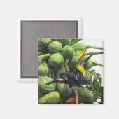 Costa Rica Tropical Toucan Pura Vida Magneet (Voorkant / Achterkant)