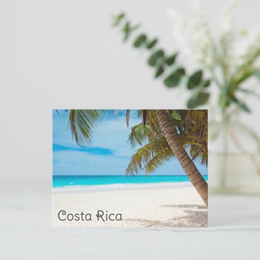 Costa Rica Tropisch Strand Palm Tree Travel Briefkaart (Staand voorkant)