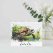 Costa Rica Turtle Briefkaart (Staand voorkant)
