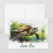 Costa Rica Turtle Briefkaart (Voorkant / Achterkant)