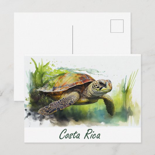 Costa Rica Turtle Briefkaart (Voorkant / Achterkant)