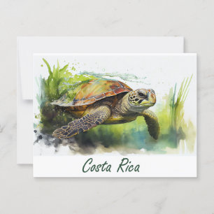 Costa Rica Turtle Briefkaart