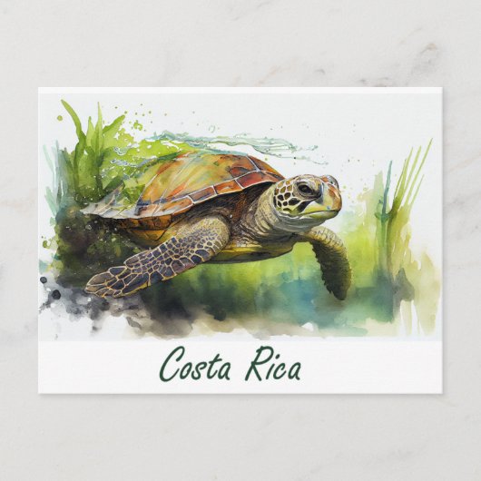 Costa Rica Turtle Briefkaart (Voorkant)