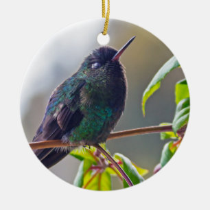 Costa Rica vogel - Fiery-throated Hummingbird Keramisch Ornament