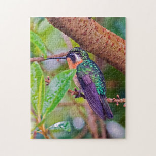 Costa Rica vogel - Fiery-throated Hummingbird Legpuzzel