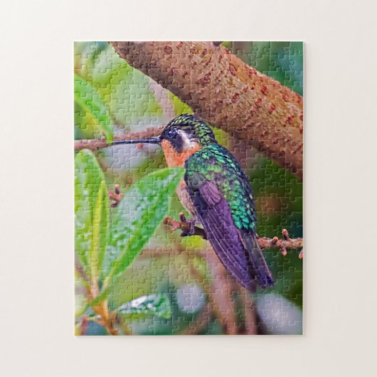 Costa Rica vogel - Fiery-throated Hummingbird Legpuzzel (Verticaal)
