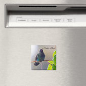 Costa Rica vogel - Fiery-throated Hummingbird Magneet (Insitu (Vaatwasser))