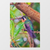 Costa Rica vogel - Fiery-throated Hummingbird Raamsticker (Vel)