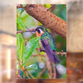 Costa Rica vogel - Fiery-throated Hummingbird Raamsticker (Vel 2)