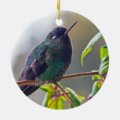 Costa Rica vogel - Vuurkeelkolibrie Keramisch Ornament (Achterkant)