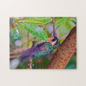 Costa Rica vogel - Vuurkeelkolibrie Legpuzzel (Horizontaal)