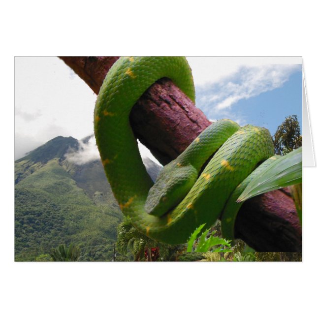 Costa Rica Volcano en Snake (Voorkant Horizontaal)