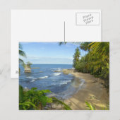 Costa Rica, Vuil Manzanillo Wildlife Briefkaart (Voorkant / Achterkant)