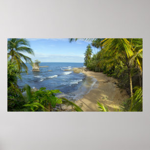 Costa Rica, Vuil Manzanillo Wildlife Poster