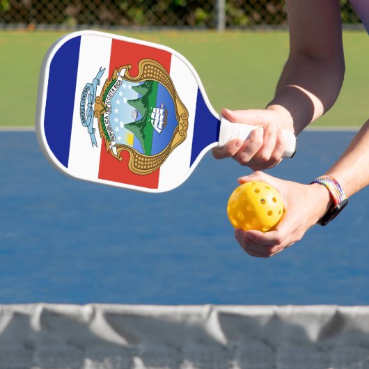 Costa Rica (wapen/vlag) Pickleball Paddle (Insitu)