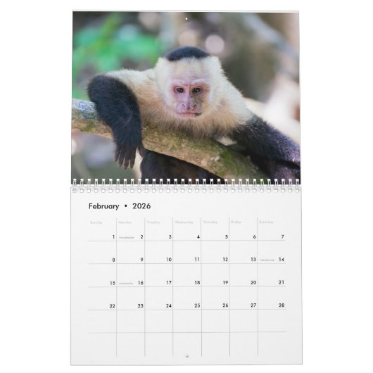 Costa Rica Wildlife Kalender (Feb 2026)