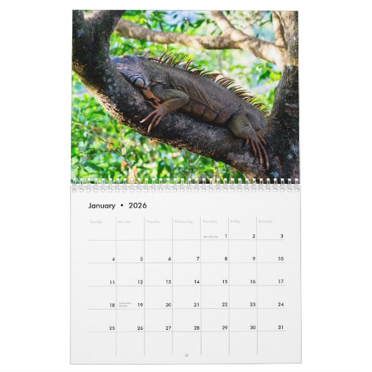 Costa Rica Wildlife Kalender (Jan 2026)