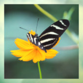 Costa Rica - Zebra langwerpvlinder Raamsticker (Vel 3)