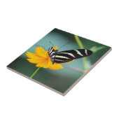 Costa Rica - Zebra langwerpvlinder Tegeltje (Zijkant)