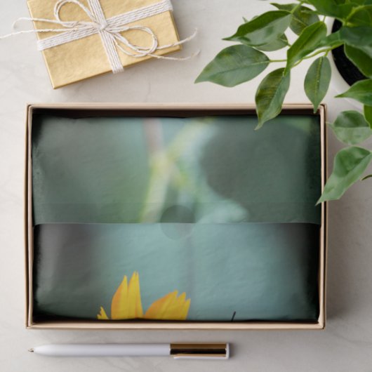 Costa Rica  - Zebra Longwing Butterfly Tissuepapier (Geschenk)