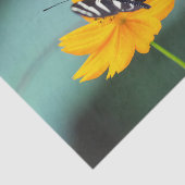 Costa Rica - Zebra Longwing Vlinder Tissuepapier (Detail)