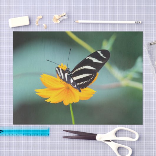 Costa Rica  - Zebra Longwing Vlinder Tissuepapier (Craft)