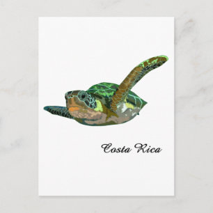 Costa Rica Zee Turtle Briefkaart