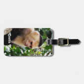 Costa Ricaanse aap Bagagelabel (Voorkant horizontaal)