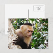 Costa Ricaanse aap Briefkaart (Voorkant / Achterkant)