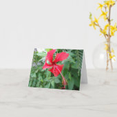 Costa Ricaanse prachtige flora Kaart (Gele Bloem)