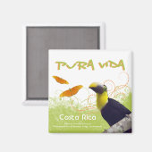 Costa Ricaanse Pura Vida magneet (Voorkant / Achterkant)