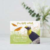 Costa Ricaanse Pura Vida Toucan Briefkaart (Staand voorkant)