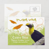 Costa Ricaanse Pura Vida Toucan Briefkaart (Voorkant / Achterkant)