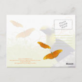 Costa Ricaanse Pura Vida Toucan Briefkaart (Achterkant)