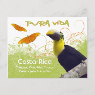 Costa Ricaanse Pura Vida Toucan Briefkaart