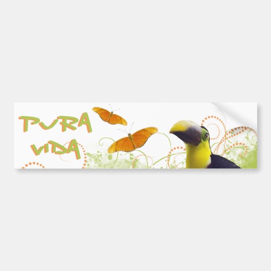 Costa Ricaanse Pura Vida Toucan Bumpersticker (Voorkant)