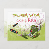 Costa Ricaanse Pura Vida Tree Frog Briefkaart (Voorkant / Achterkant)