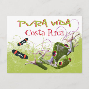 Costa Ricaanse Pura Vida Tree Frog Briefkaart