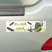 Costa Ricaanse Pura Vida Tree Frog Bumpersticker (Op auto)