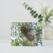 Costa Ricaanse sloep Briefkaart (Staand voorkant)