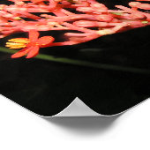 Costa Ricaanse ventilator Poster (Hoek)