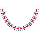 Costa Ricaanse vlag Vlaggetjes (Alle)