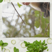 Costa Ricaanse Wildlife: Witte Gezicht kapucijnaap Theedoek (Gevouwen)