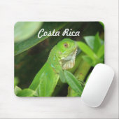 Costa Rican Lizard Muismat (Met muis)
