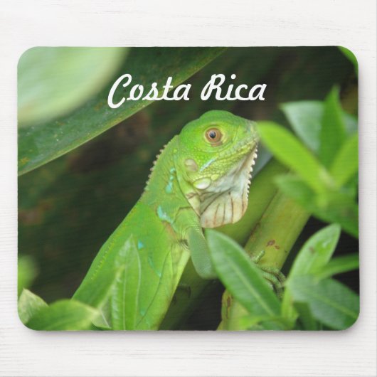 Costa Rican Lizard Muismat (Voorkant)